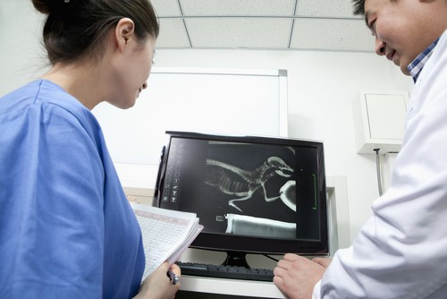Advanced Digital X-rays Taylor, MI