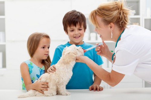 Vaccinations Taylor, MI